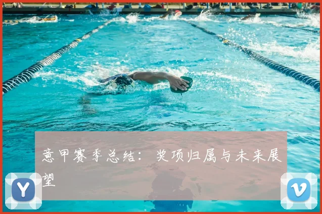 意甲赛季总结:奖项归属与未来展望